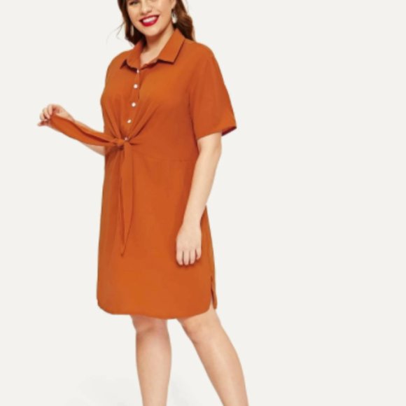 Forever 21 Brown Squash Tunic NWOT Sz S - Picture 3 of 14